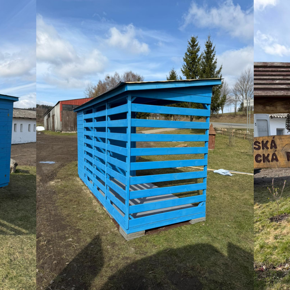 Dřevník se skladovacím prostorem (Ravi)